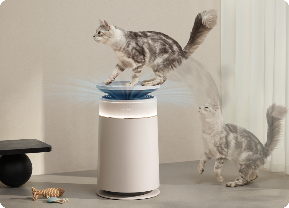 Prevención del estrés en gatos*