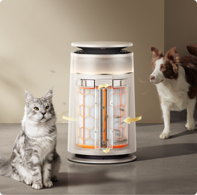 Corte transversal del Purificador de aire Dreame FP10 con mecanismo de doble rodillo activo y tasa de captura de pelo del 99,5 % para hogares con gato y perro.