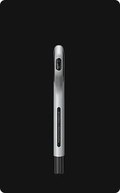 1 mango