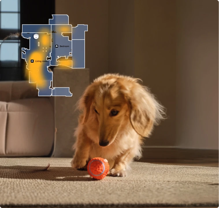 El robot aspirador Dreame Matrix10 Pro Negro detecta las zonas de actividad de las mascotas, limpieza específica donde el animal pasa más tiempo.