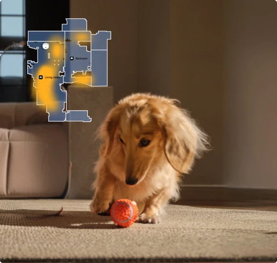 El robot aspirador Dreame Matrix10 Pro Blanco detecta las zonas de actividad de las mascotas, limpieza específica donde el animal pasa más tiempo.