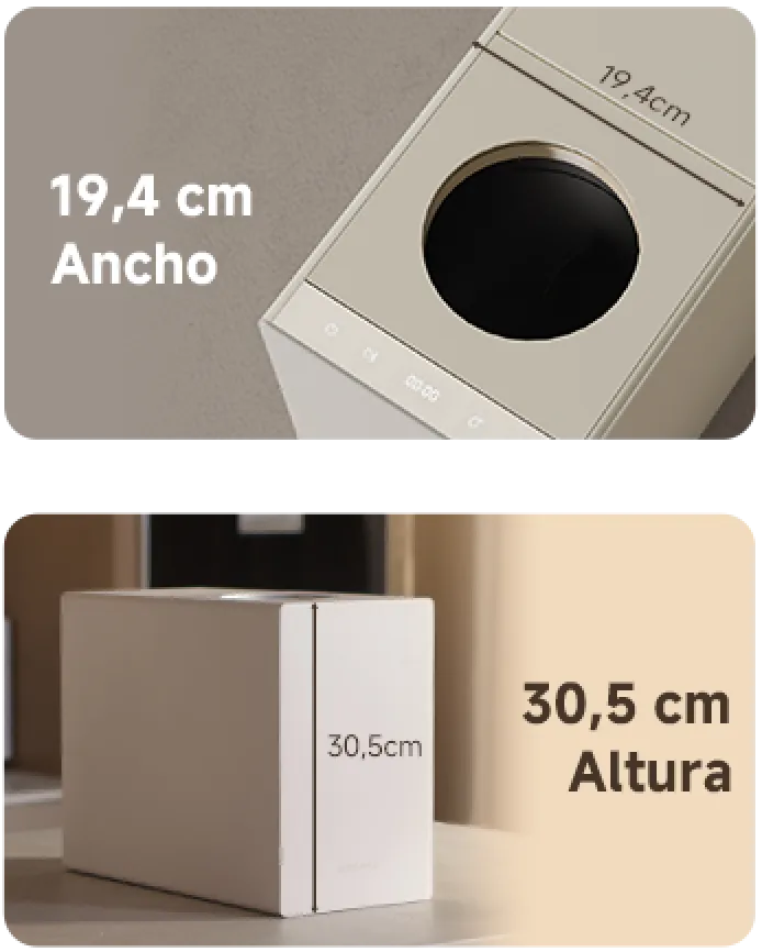  Höhe: 30,5 cm 
 Breite: 19,4 cm 