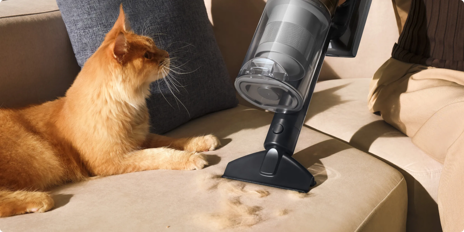 Herramienta de aseo para mascotas Dreame   Z30 Pro Aqua-A para limpiar pelos de gato en el sofá